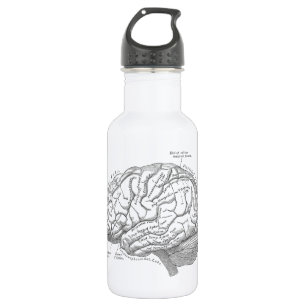Alte Gehirn Anatomie Trinkflasche