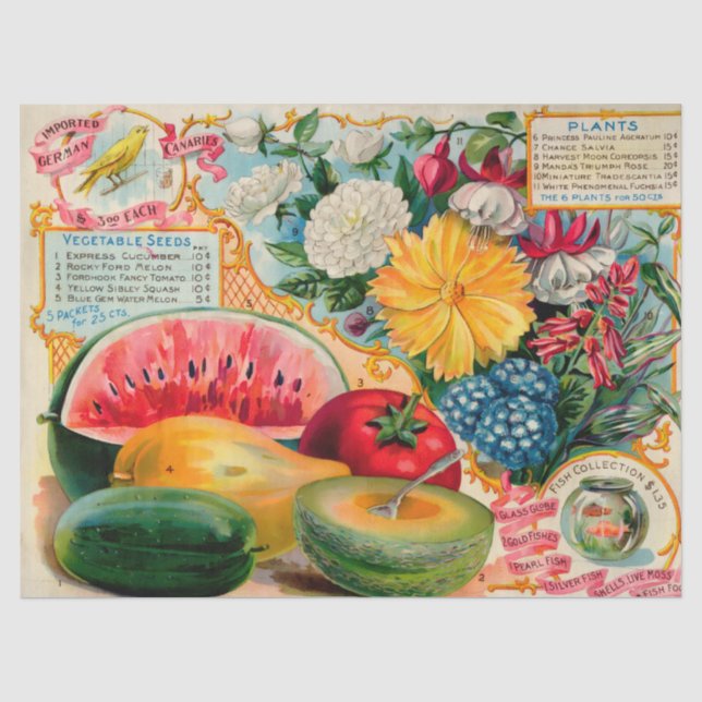 Alte Gemüse- Obst- Blumensaatgutwerbung Seidenpapier (Vorderseite)