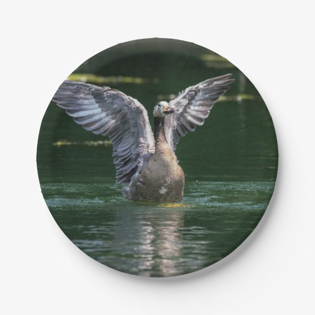 Alte Goose Wing Action Pappteller (Vorderseite)