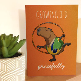 Alte Gracevoll Capybara Gymnast Cartoon