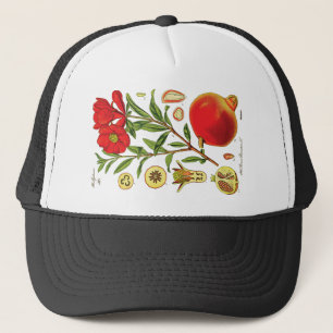 Alte Granatapfel-Illustration Truckerkappe