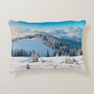 Alte grunge Holzstruktur oder Hintergrund mit Term Dekokissen