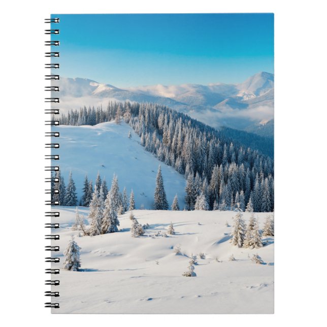 Alte grunge Holzstruktur oder Hintergrund mit Term Notizblock (Vorderseite)