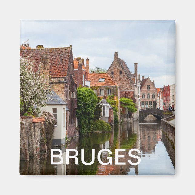 Alte Häuser in Brügge, Belgien Magnet (Vorne)