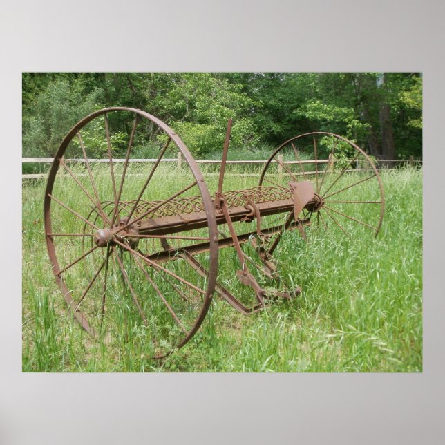 Alte Heuschrecke 2 Poster (Vorne)