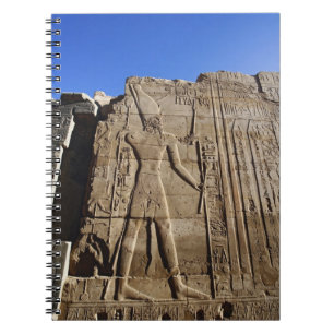 Alte Hieroglyphen an der Wand, Tempel von Karnak, Notizblock