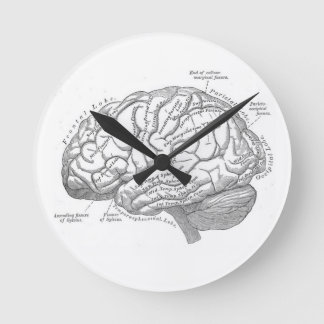 Alte Hirnanatomie Runde Wanduhr