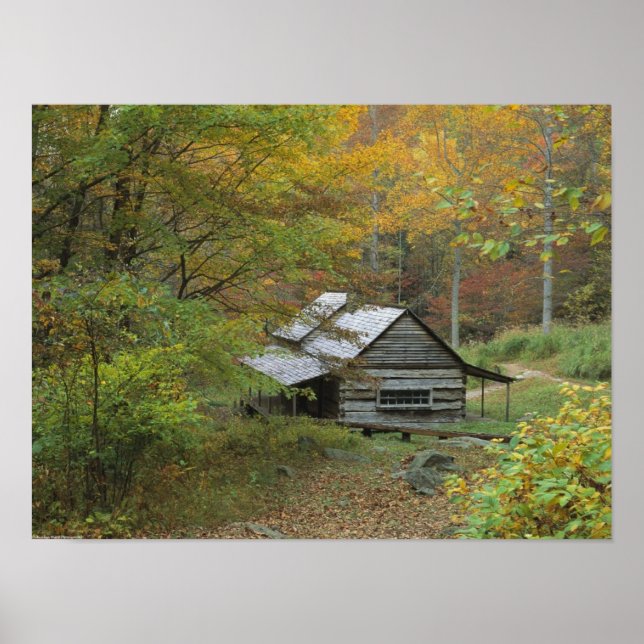 Alte Holzkabine Poster (Vorne)