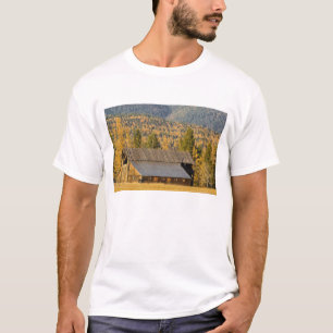 Alte Holzscheune mit Herbst-Tamaracken in der Nähe T-Shirt