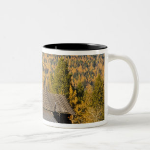 Alte Holzscheune mit Herbsttamaracken in der Nähe Zweifarbige Tasse