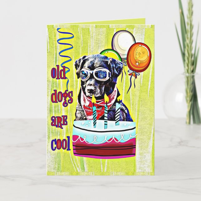 Alte Hunde sind Cool zum Geburtstag Karte (Vorderseite)