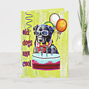 Alte Hunde sind Cool zum Geburtstag Karte