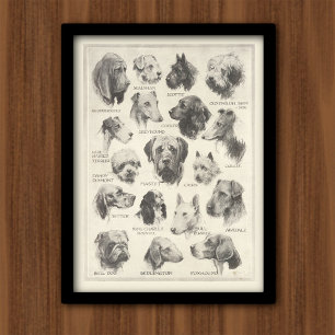 Alte Hunderassen-Grafik Poster