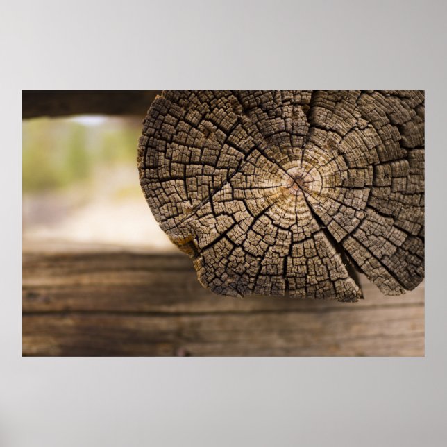 Alte Kabine Textur Poster (Vorne)