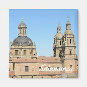 Alte Kathedrale, Salamanca Magnet