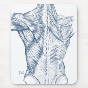 Alte medizinische Zeichnung Rückenmuskulatur Blau Mousepad