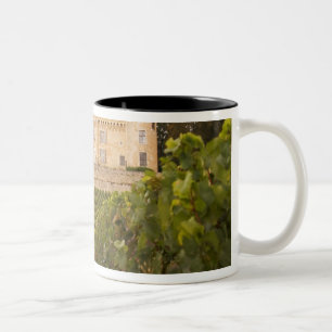 Alte mittelalterliche Chateau de Rully im Zweifarbige Tasse