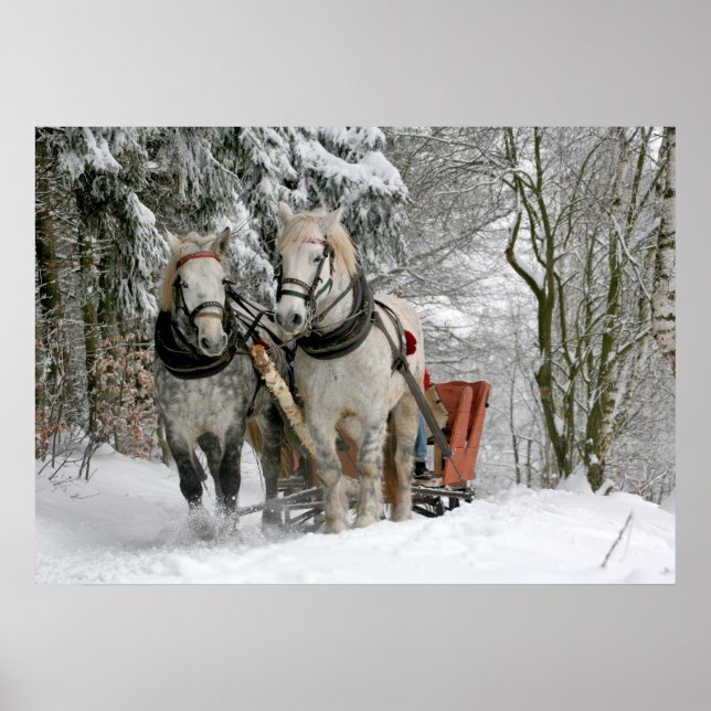 Alte Mode Sleigh Ride Poster (Vorne)