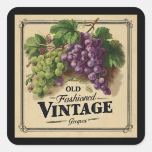Alte Mode Vintage Trauben, Lila und schwarzer Wein Quadratischer Aufkleber