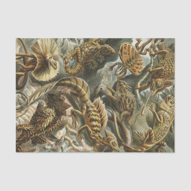 Alte Modeillustration Lacertilia Ernst Haeckels Seidenpapier (Vorderseite)
