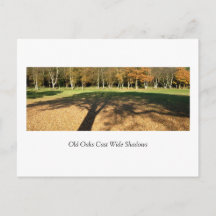 Alte Oaks vergossen breite Schatten