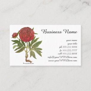 Alte Pfingstrosen, Pfingstrosen-Blumen von Basiliu Visitenkarte