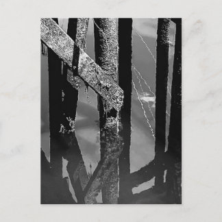 Alte Pier Anleger Barnacle Balken Pfähle Postkarte