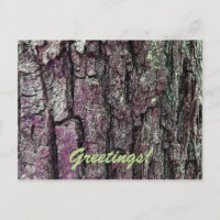 Alte Pine Bark mit Textgrüßen