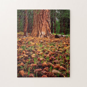Alte Ponderosa mit Kiefernzapfen Puzzle