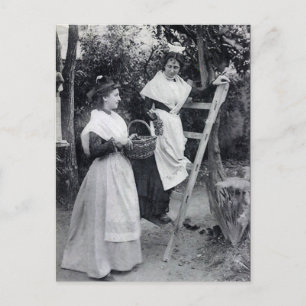 Alte Postkarte - Arles, Les Arlésiennes