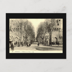 Alte Postkarte - Avignon