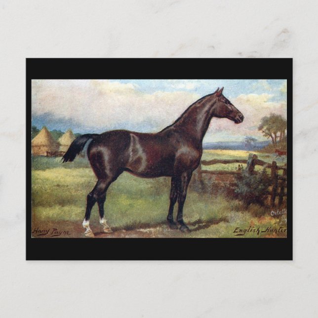 Alte Postkarte - Englischer Jäger (Vorderseite)