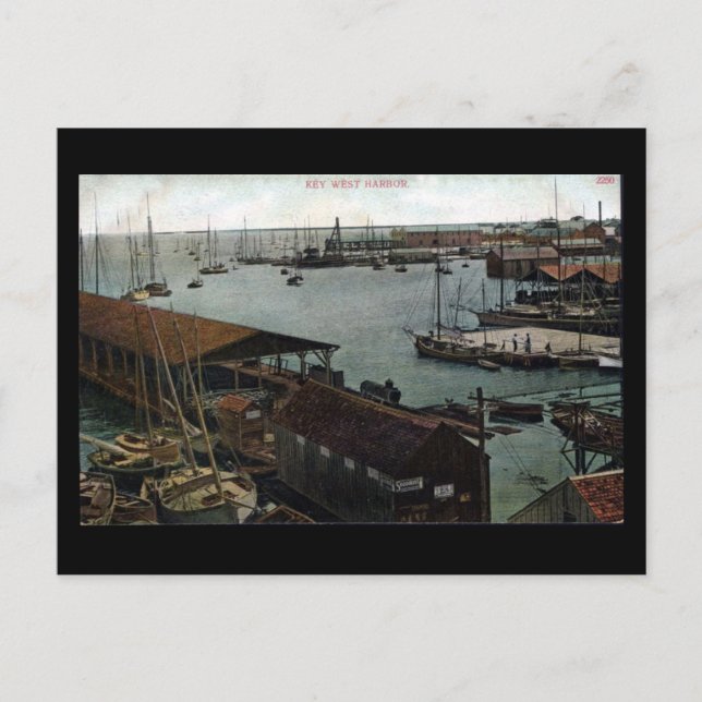 Alte Postkarte - Florida, wichtiger Hafen von West (Vorderseite)