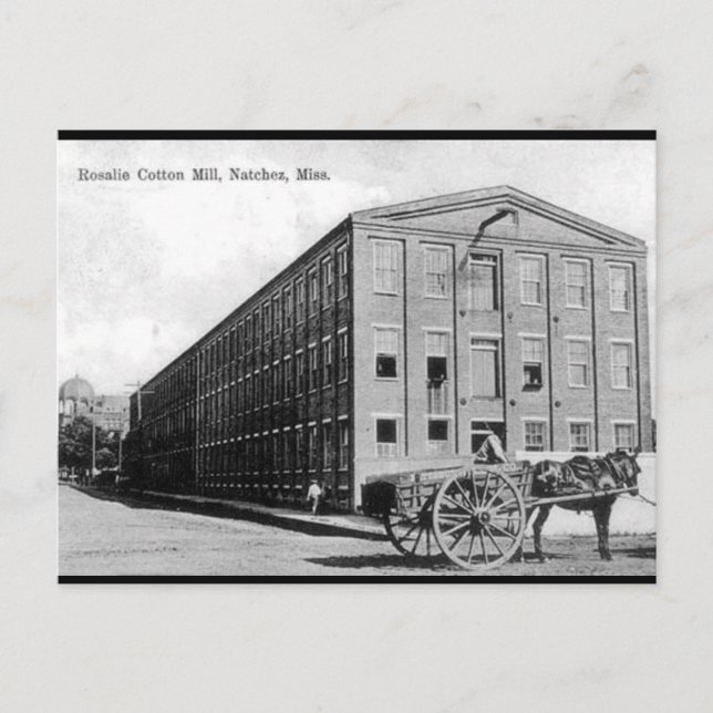 Alte Postkarte - Natchez, Mississippi (Vorderseite)