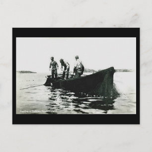 Alte Postkarte - Neufundland, Kabeljaufischerei