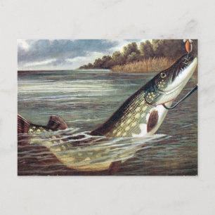 Alte Postkarte - Pike