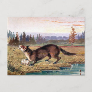 Alte Postkarte - Pine Marten