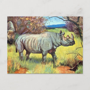 Alte Postkarte - Rhinoceros
