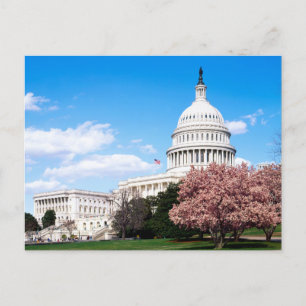 Alte Postkarte von Washington DC