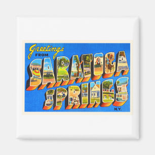 Alte Reise-Andenken Saratoga Springs New York NY Magnet