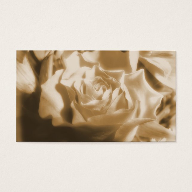 Alte Rose (Vorderseite)