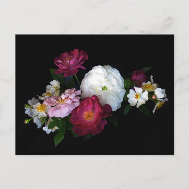 Alte Rose Postkarte (Vorderseite)