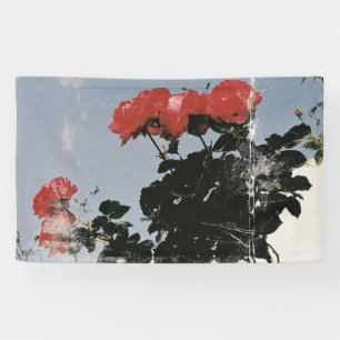 Alte rote Rosen gegen einen blauen Himmel Banner