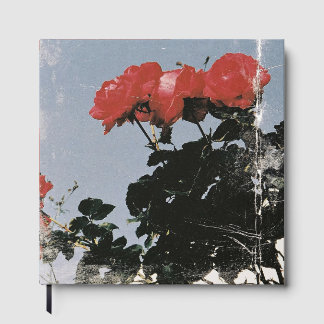 Alte rote Rosen gegen einen blauen Himmel Gästebuch