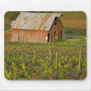 Alte rote Scheune am Rand des Zinfandel-Weinbergs Mousepad