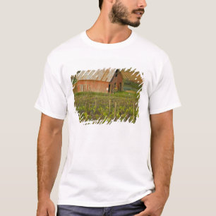 Alte rote Scheune am Rande des Zinfandel-Weinbergs T-Shirt