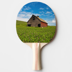 Alte, rote Scheune auf einem Feld mit Kichererbsen Tischtennis Schläger