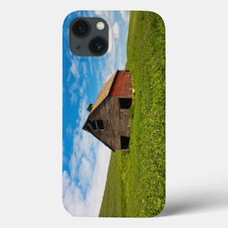 Alte, rote Scheune auf einem Kichererbsenfeld iPhone 13 Hülle