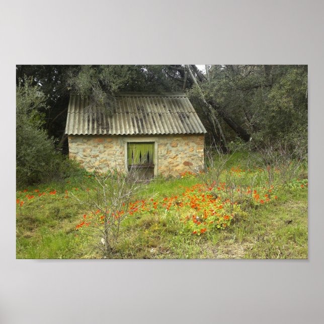 Alte Rustikale Steinbauten Hütte Blume Wiesen Poster (Vorne)