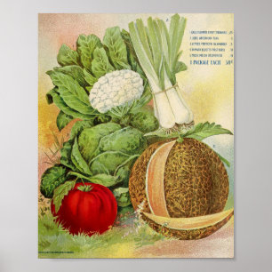 Alte Samenwerbung Poster